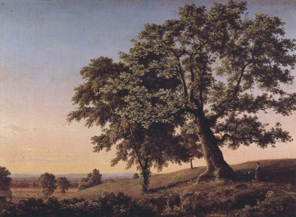 The Charter Oak